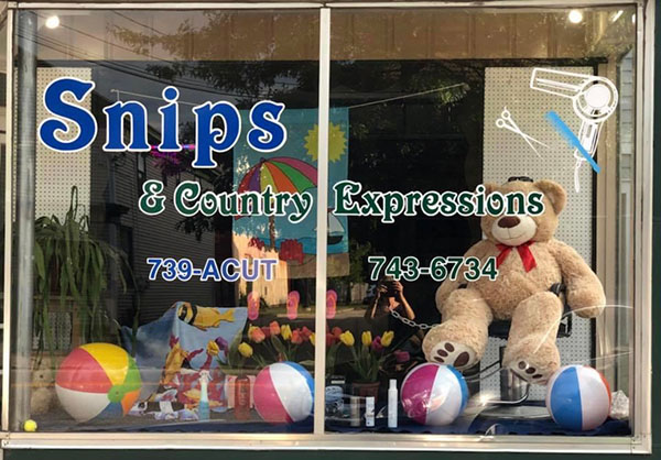 Snips & Country Expressions